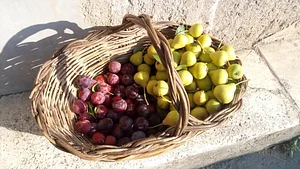 Permarancia Farm