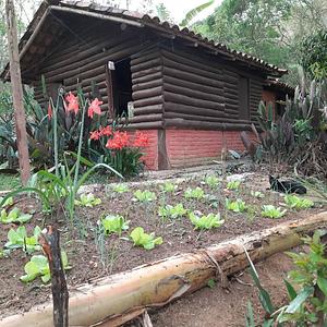 Sítio Jaqueira Agroecologia
