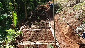 Plantadores de Água 1