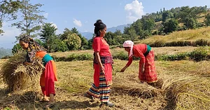 Barpipal Regenerative Farm
