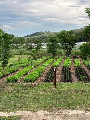 Manyore Farmstead