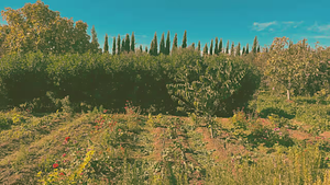 Akal Ferme En Permaculture