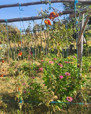 Keela Permaculture