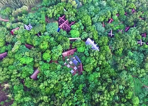 Sadhana Forest