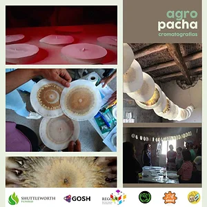 Taller cromatografia de suelos