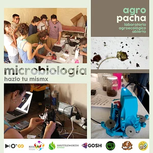 Taller de microscopia de suelo DIY