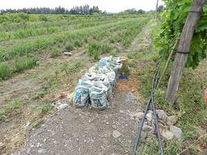 Finca El Pongo
