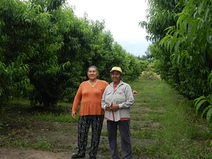 Finca El Pongo