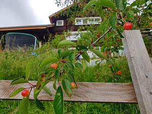 Morgarot Permaculture Farm