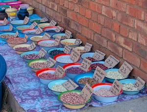 This is a picture of one a stall at the Traditional Food and Seed Festival where rural farmers showcased traditional seeds