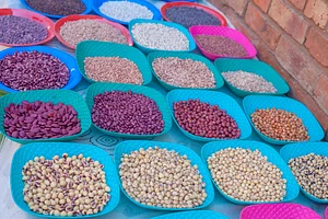 This is a picture of one a stall at the Traditional Food and Seed Festival where rural farmers showcased traditional seeds