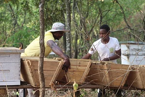 School of Agroecology