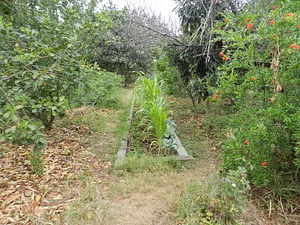 Huerta Agroecológica