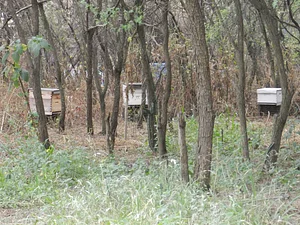 Huerta Agroecológica