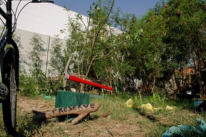 Parque ecológico da Vila Residencial da UFRJ