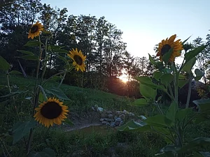 După Gard Permaculture Transylvanian