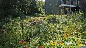 Sunray Sustainability
