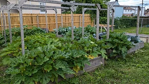 Sunray Sustainability