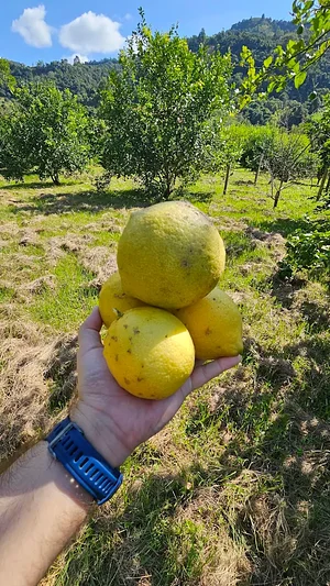 Sítio Pedras Rollantes