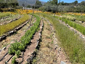 Centro de I+D en Agroecología