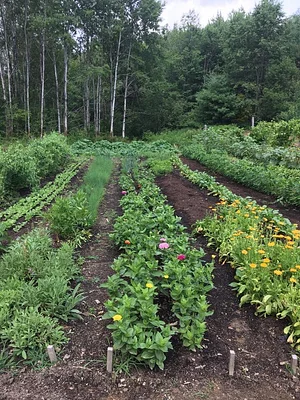 Foxgreen Farmstand