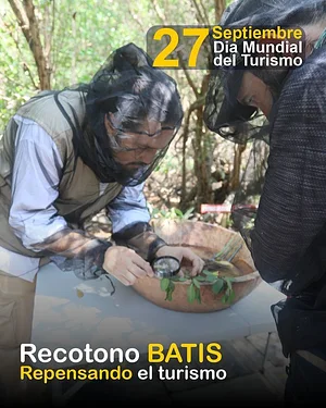 Re-cotono Batis Del Caribe
