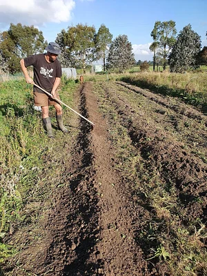 Permaculture at The Food Farm