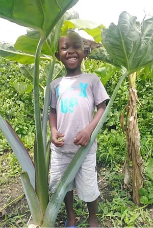 EarthCare Permaculture Ghana