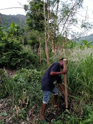 EarthCare Permaculture Ghana