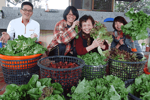Ananda Suruci Farm