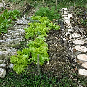 Sítio Tarumã 4