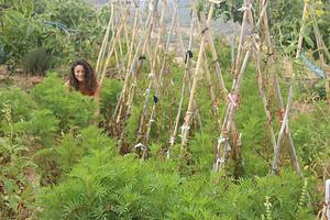 Petrera Permaculture Land