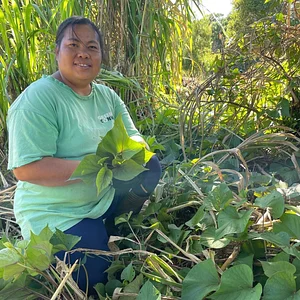 Green Connect Farm
