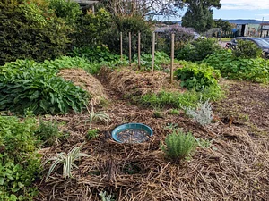 Green Connect Farm