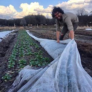 Centre for Sustainable Food Systems at UBC Farm