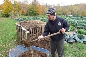 Emptying the compost pile