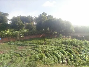 La Ferme Permacole