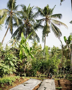 The Kul Kul Farm