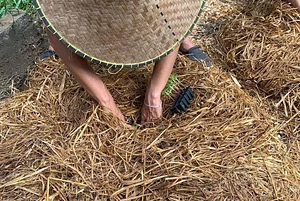 The Kul Kul Farm