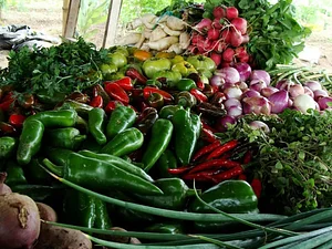 El Retiro Finca Agroecológica