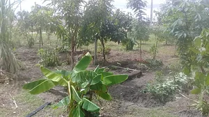 Wazaka´ye Agroecologia 4