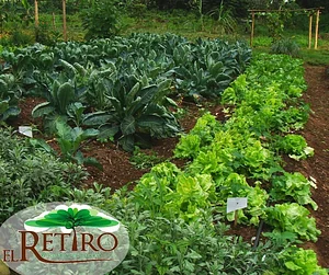 El Retiro Finca Agroecológica
