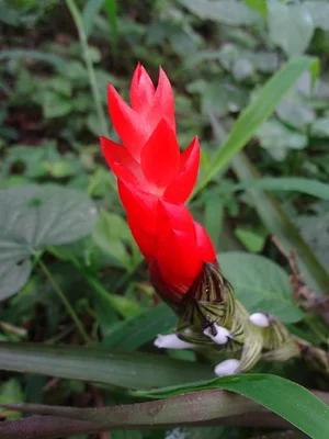 El Retiro Finca Agroecológica