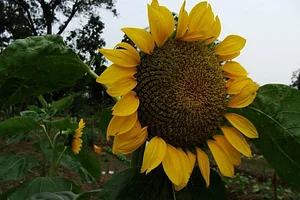 El Retiro Finca Agroecológica