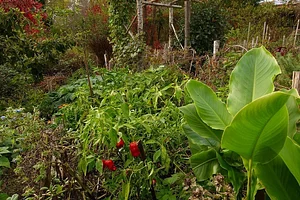 La Ferme de Sourrou