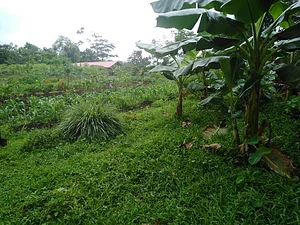 Finca Agroecologica Vivencias Campesinas​