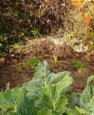 La Ferme de Sourrou