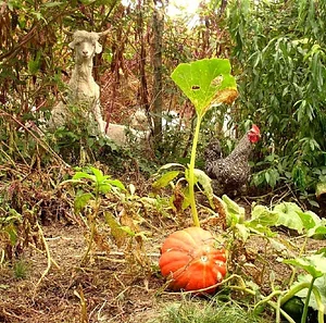 La Ferme de Sourrou