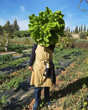 Akal Ferme en Permaculture