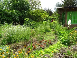 Hacia El Sol